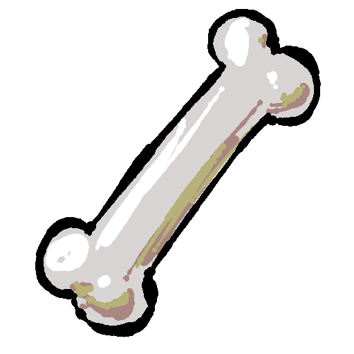 a white femur